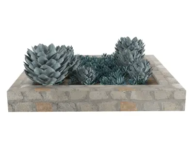Customizable Succulent Garden Square Planter 3D Model Low-poly 3D model