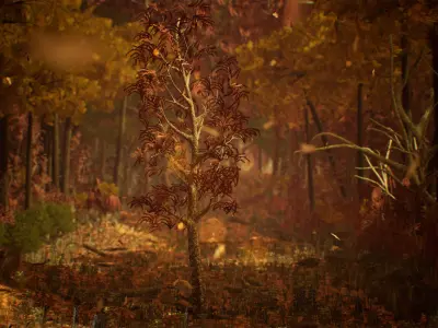 Deciduous Trees 200 Assets Low-poly 3D model