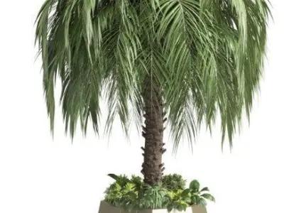 plant and plam interior exterior bench 02 Low-poly 3D model