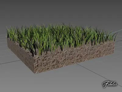 Grass patch 01 3D model