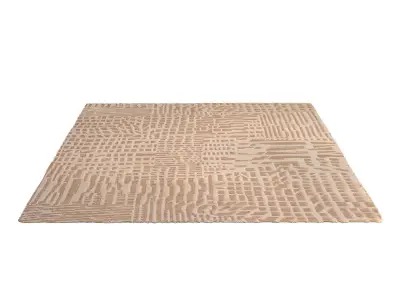 CARPET ELYN 200 X 300 3D model
