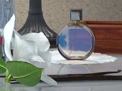  Hybrid Orchid Vanilla with Vanilla Sticks 