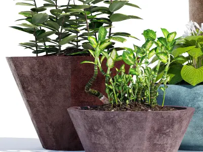 Mundo and Faceted 3D model