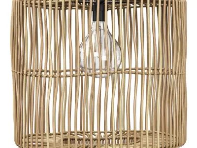 Hanging rattan lamp shade by Tine K Home  3D model