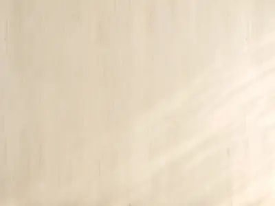 Wood material v01 Texture