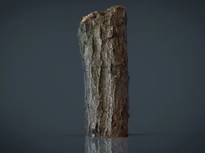 Wood Log 2 Low-poly 3D model