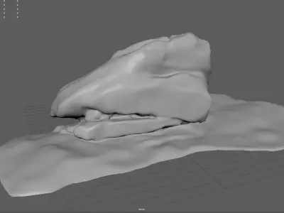 Rock 37  3D model