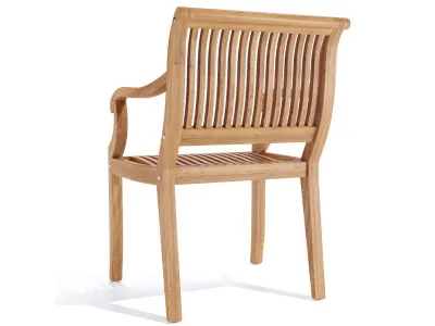 Palm Dining Armchair  3D model