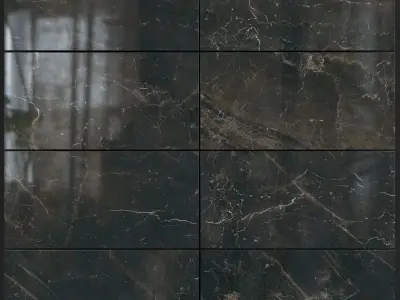 Yurtbay Seramik Carelia Black 300x600 Set 1 3D model