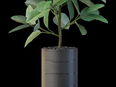 Plants collection 877 3D model