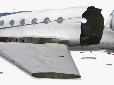  Private Jet Aircraft Wreckage Crashed 