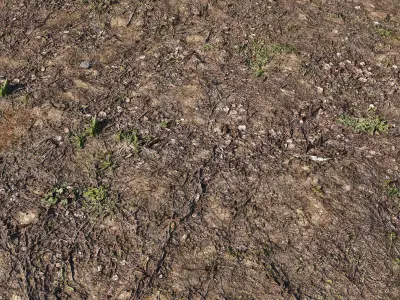 Spring soil  2 3D model