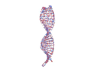 DNA Molecule v4 006 3D model