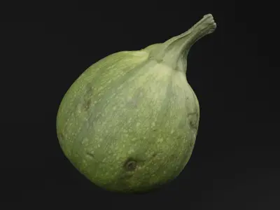 Tinda Round Melon 3D model