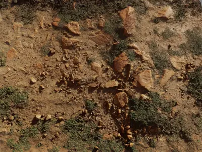 Scangrassandstone01 3D model