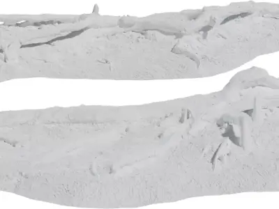 Rooted Forest Ground Patches Low-poly 3D model