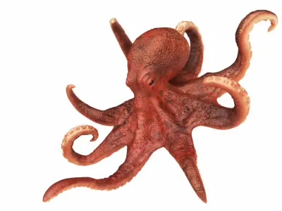  Realistic Octopus Rigged Animated 