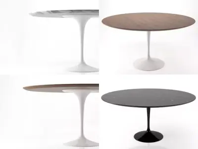 Tulip Round Table 3D model