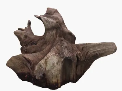 Tree Stump Low-poly 3D model