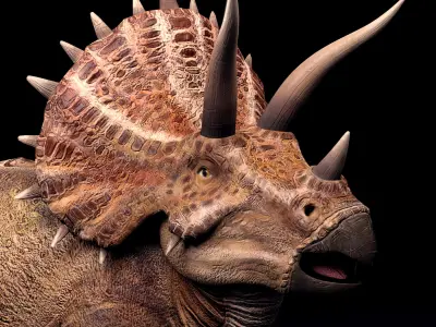 Triceratops dinosaur Low-poly 3D model