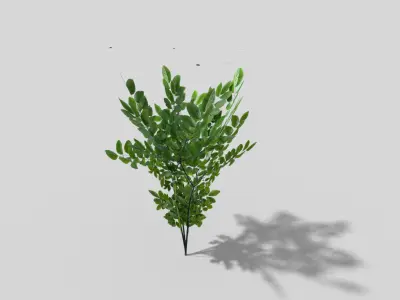 Plant Low-poly 3D model order