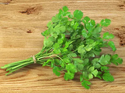  Salad Greens Collection 5 