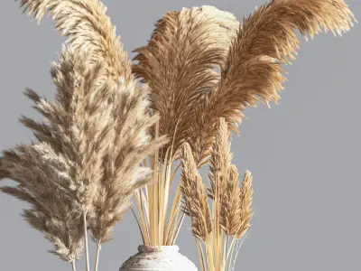 IndoorPlantSet10 dried grasses in vases 3D model