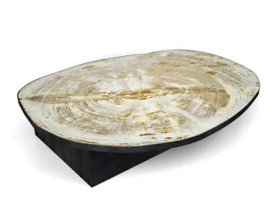 Petrified Wood Slice Coffee Table 2 3D model