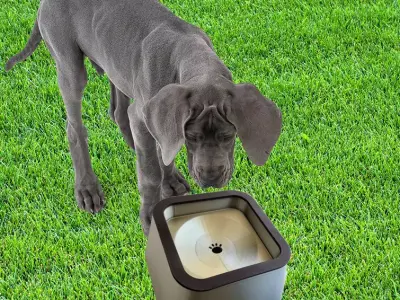 Smart Pet Water Bowl 3D print model