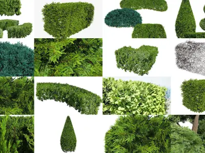 Garden Topiary Bush Collection 3D Pack 01