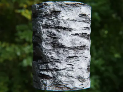 Procedural White Birch Bark Texture - Seamless PBR Material Texture