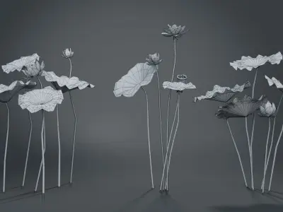  Lotus Collection vol07 