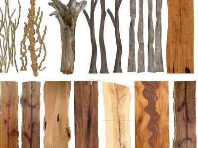 Natural Wooden Component Material Collection 3D model