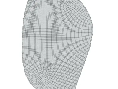 Rug The Mountain Heath 3D model