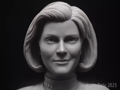 Kate Mulgrew as Kathryn Janeway Bust Printable 3D Model 3D print model