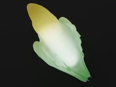 Indirect lighting for parakeets and parrots 3D model