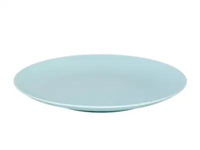 Melamine Dinner Plate 3D model