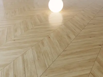 European hornbeam  Carpinus betulus  3D model