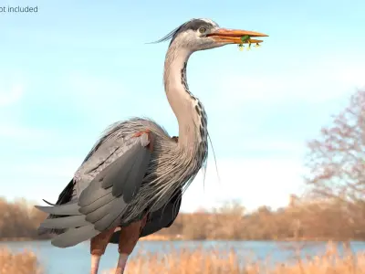  Predatory Heron with Frog For Blender 