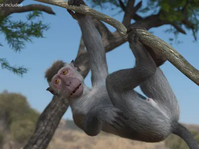  Gray Macaque Hanging on Branch Fur for Cinema 4D 