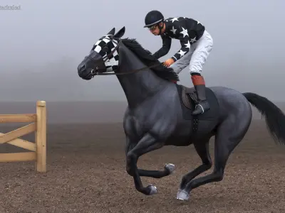 Black Racing Horse with Jokey Gallop 