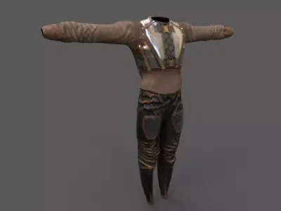  Steampunk  skin 13 Low-poly 3D model
