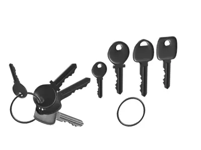 Set Of New Keys 3D model