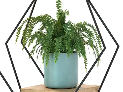 Hanging Plant 06 3D model