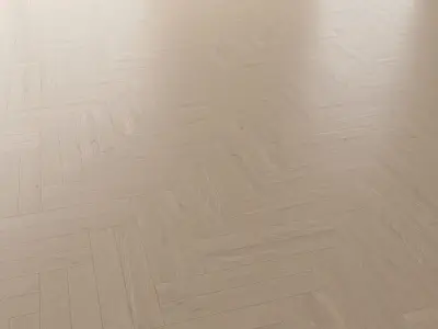  Parquet Oak Tundra Brushed set 2 3D model