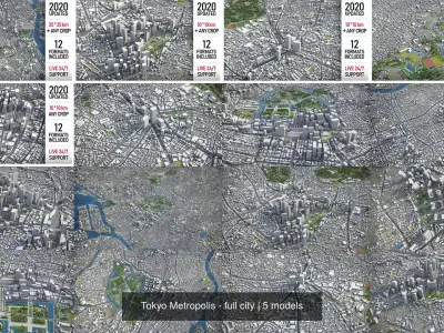 Tokyo Metropolis 3D Model Pack