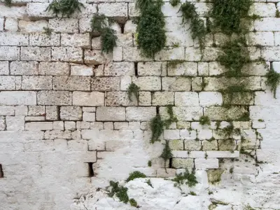 Aged Limestone Block Wall With Natural Moss  Texture