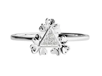 Ring - 04 3D print model