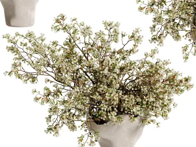 plants bouquet vase 48 3D model