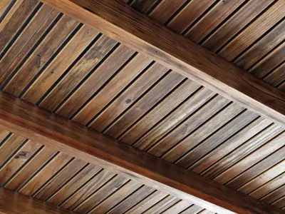 Branches rectangular ceiling N1 3D model